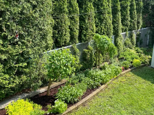 1114 Rue des Azalées