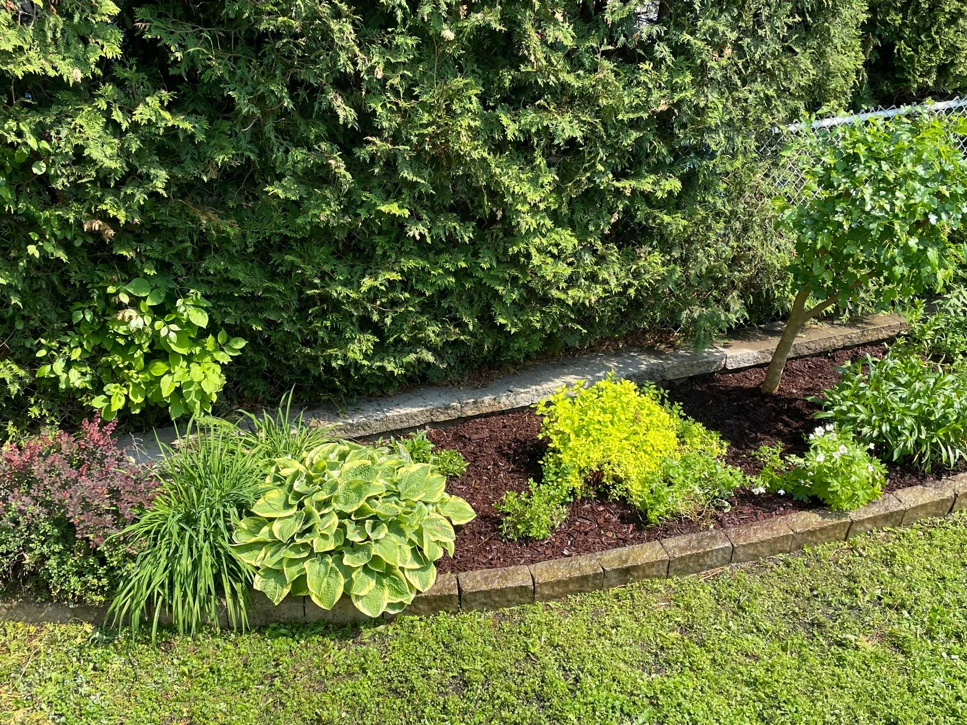 1114 Rue des Azalées