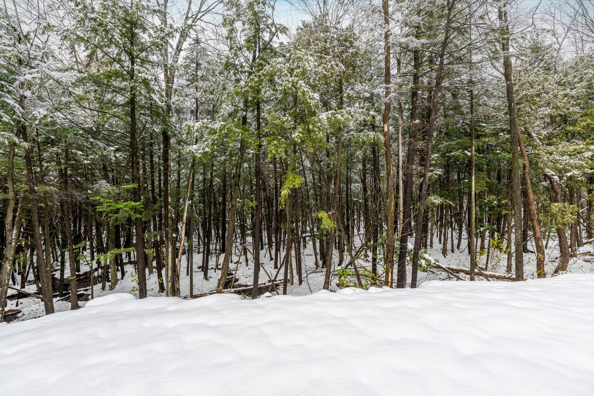 868 Rue du Mont-Brome