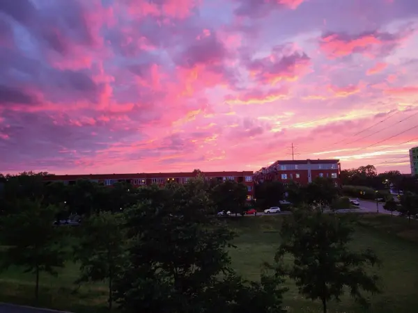 7226 Av. Pierre-De Coubertin