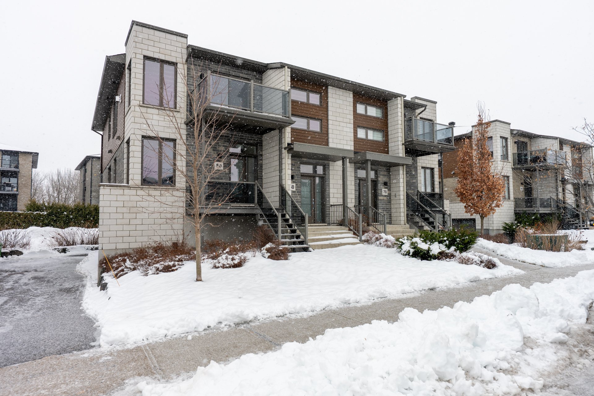 50 Rue du Damier-Argenté