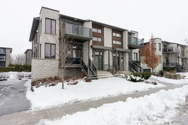 50 Rue du Damier-Argenté