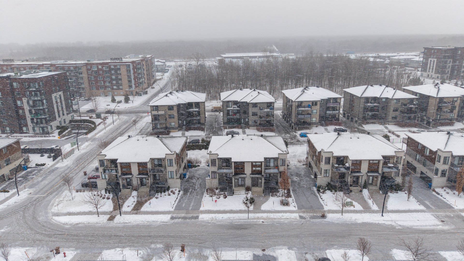 50 Rue du Damier-Argenté