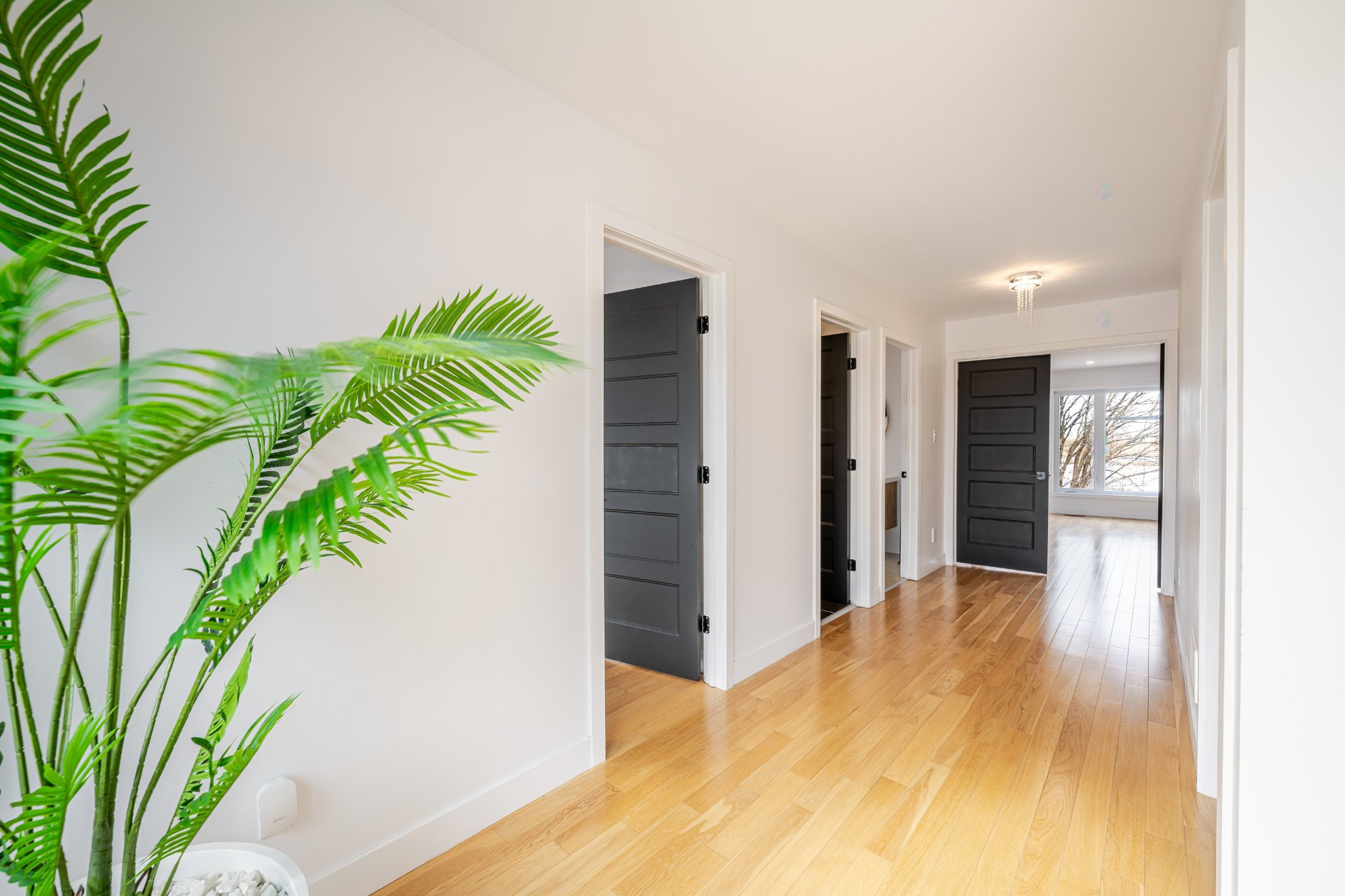 367 Rue du Parcours
